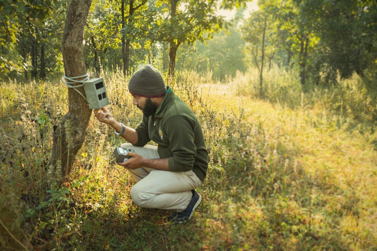 Pench Jungle Camp Hotell Khawāsa Exteriör bild